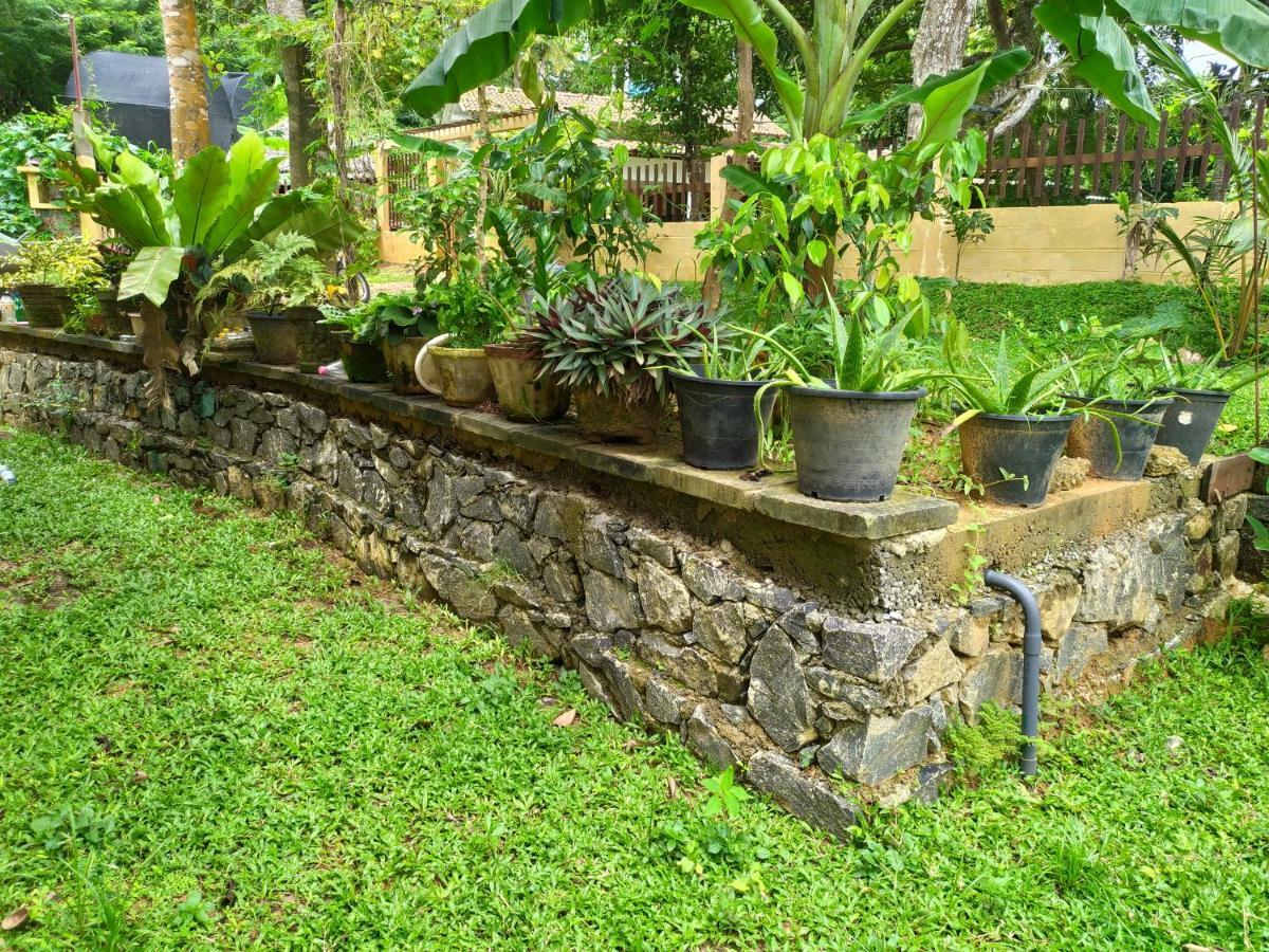 Cinnamon House Hiriketiya Dikwella Exterior foto